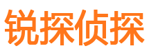 通榆外遇调查取证